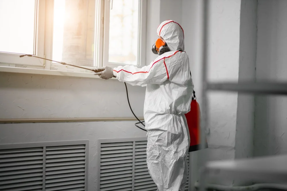 Professional mold remediation services in Cedar City, UT